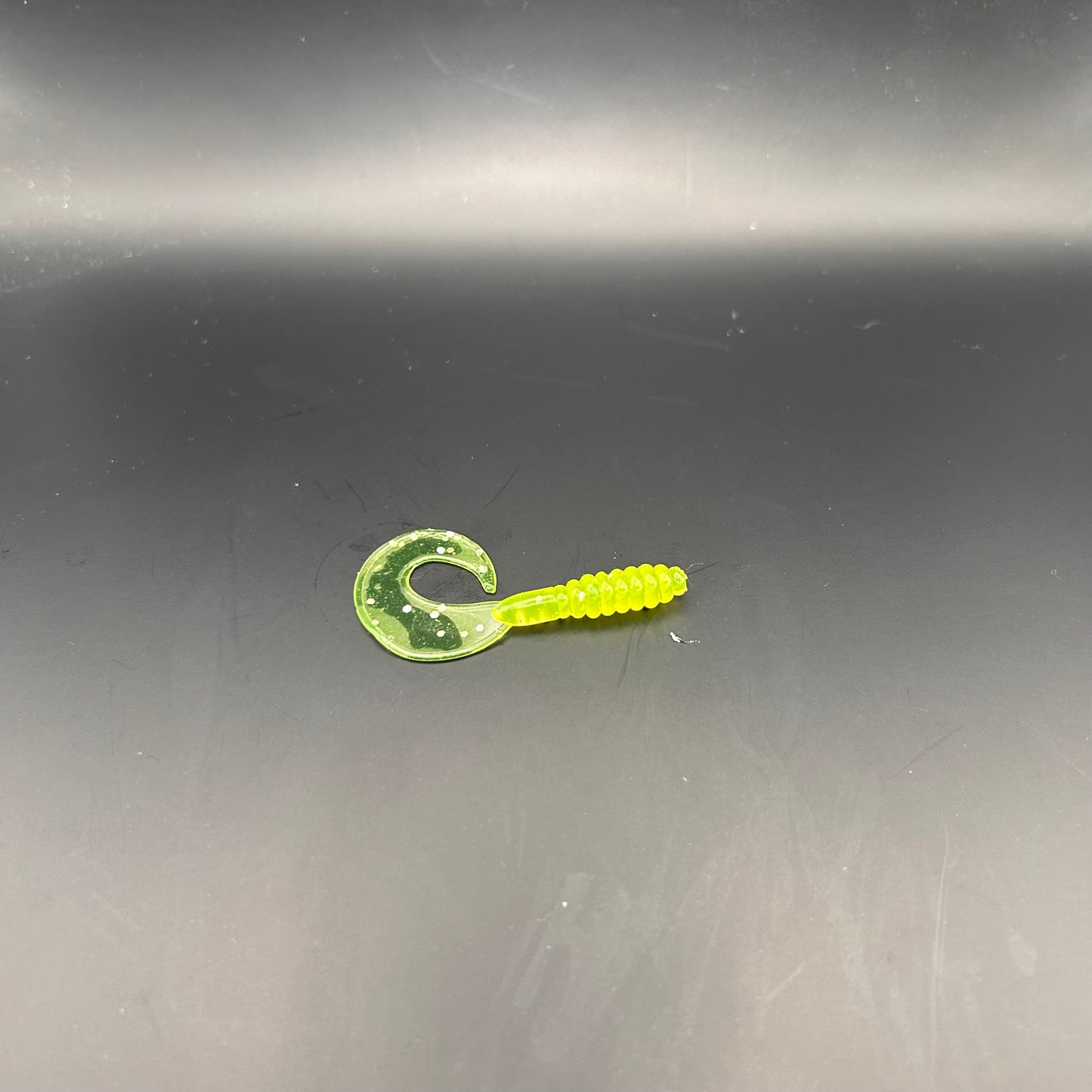 2" Curly Tail